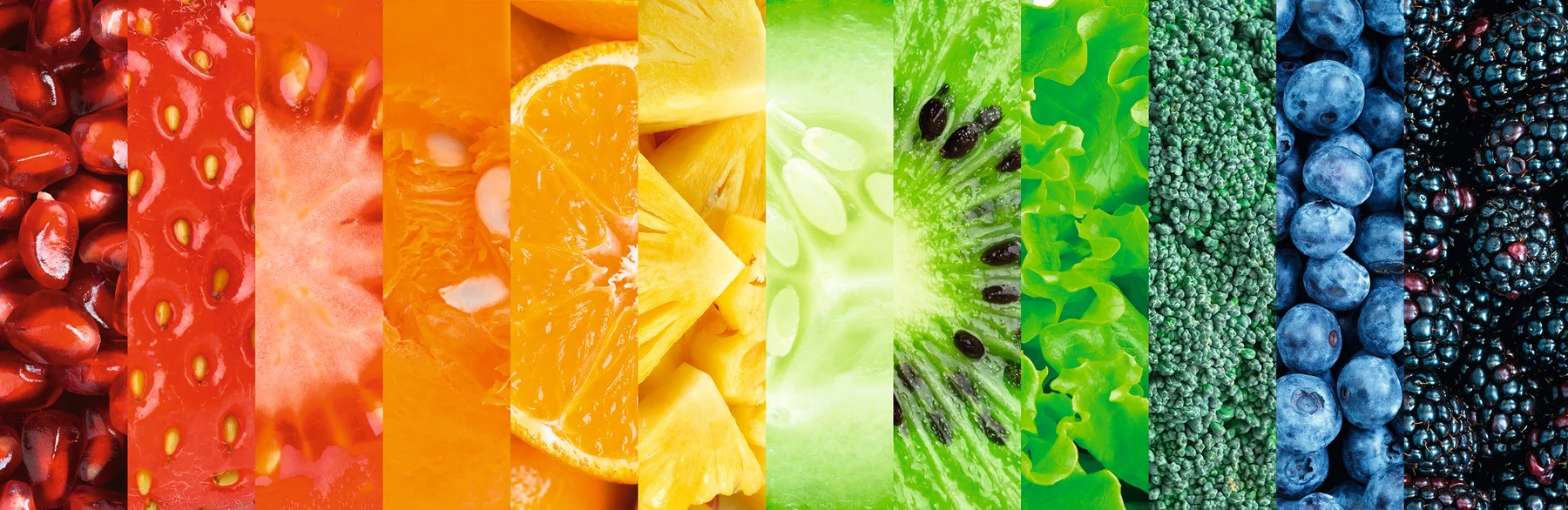 Die 5 Komponenten der Slimsano Therapie